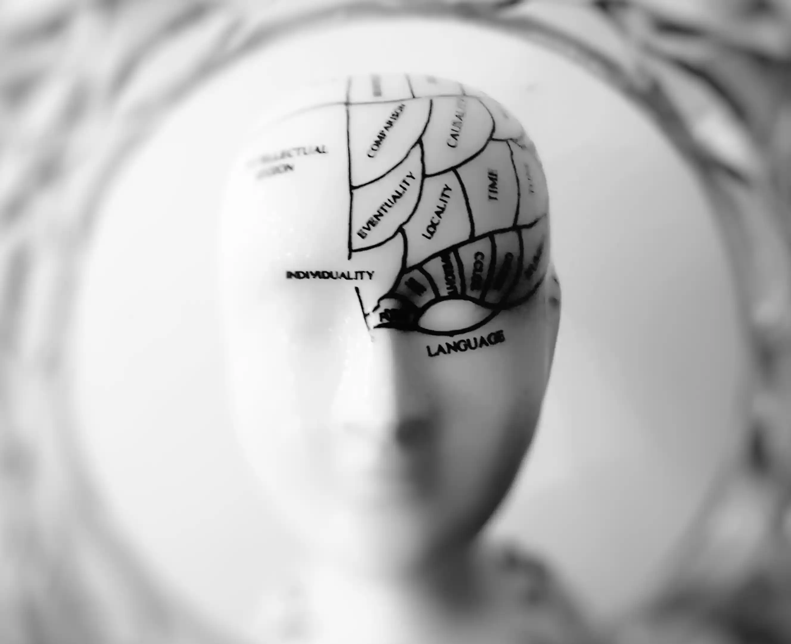 Machine learning human brain drawing